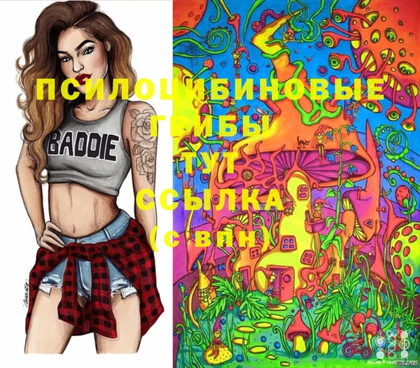 дурь Наволоки