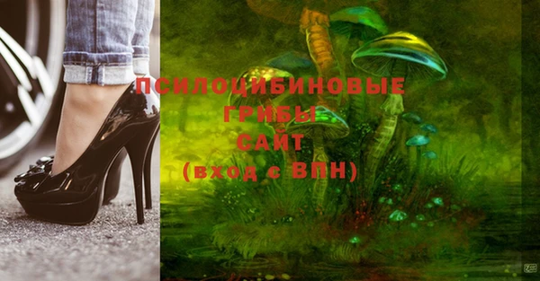 тгк Нея