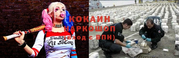 стафф Нефтегорск