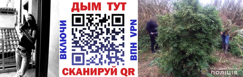 Бошки марихуана ГИДРОПОН  Мурино 